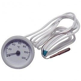 TERMOMETRO  123000091 Foto: 123000091