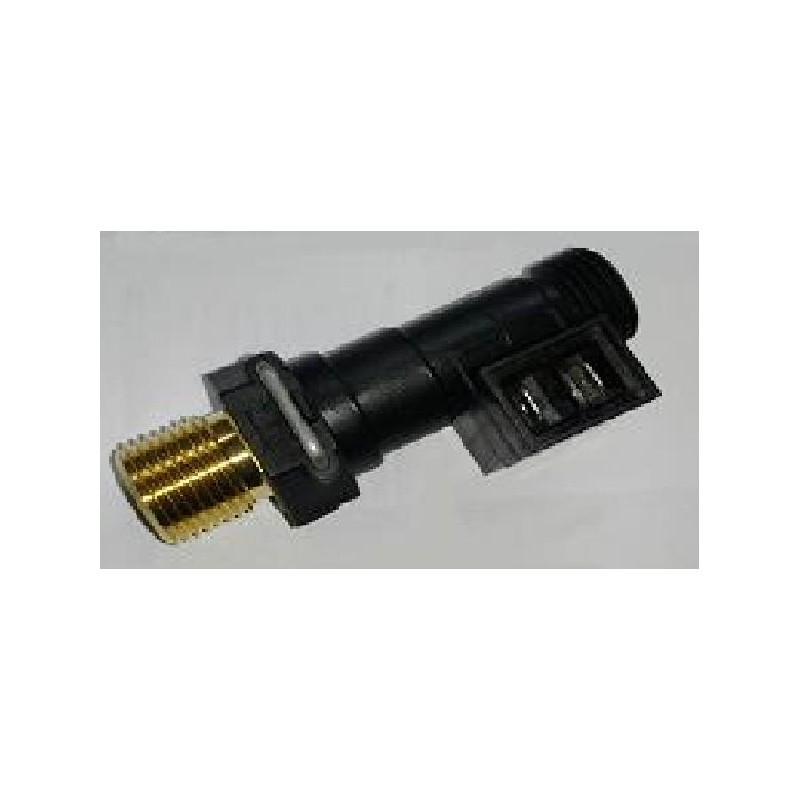 FLUSOSTATO DE CALDERA Foto: 20069786