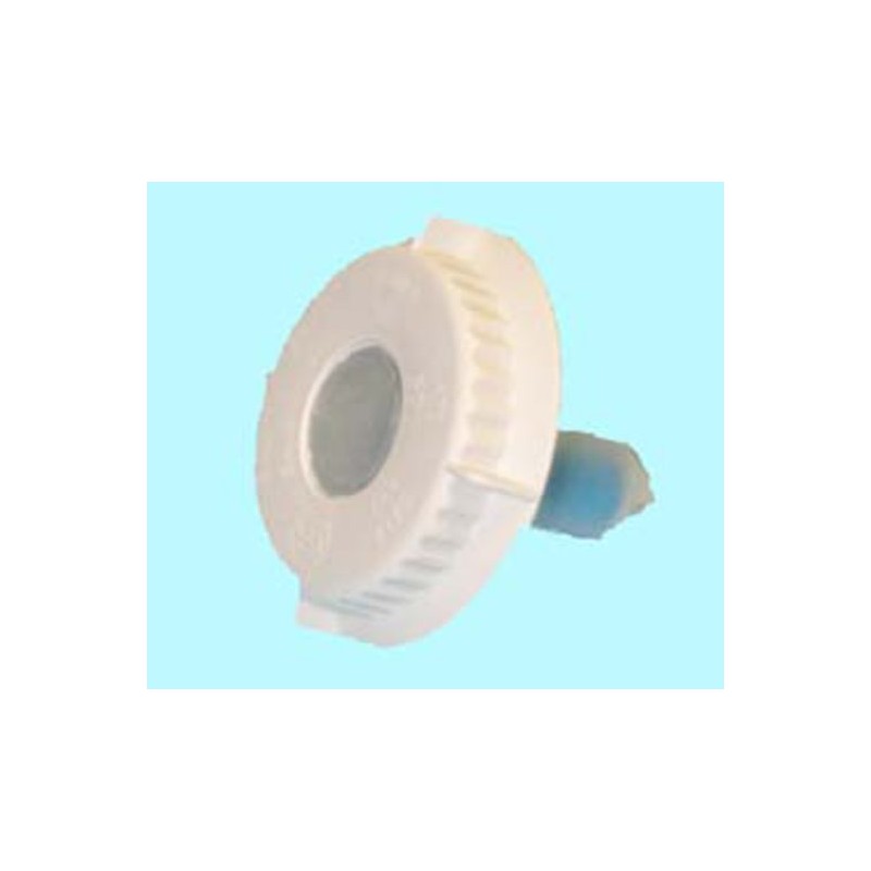 TAPON DE LA SAL DE LAVAVA Foto: 21BS0012