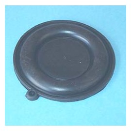 MEMBRANA CALENTADOR COINT Foto: 44CT0052