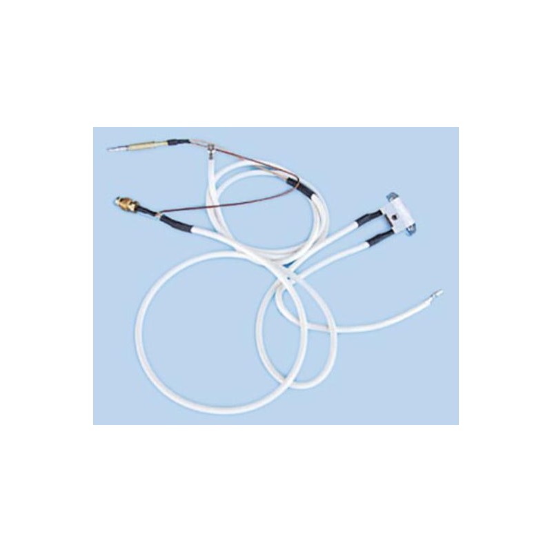 DISPOSITIVO CONTROL GASES Foto: 44JK0044