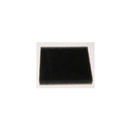 FILTRO SALIDA AIRE ESPUMA Foto: 00608113