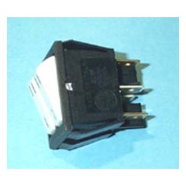 DOBLE INTERRUPTOR UNIPOLA Foto: 49HF099