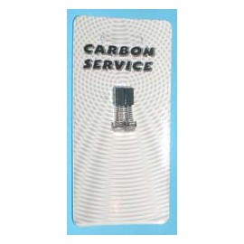 ESCOBILLAS 6X7X11/12,5MM Foto: 49MG041