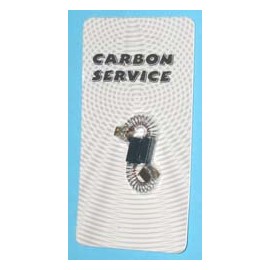 ESCOBILLAS 6X8X20/21,5MM Foto: 49MG042