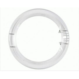 ARO EXTERIOR ESCOTILLA Foto: 57BY0004-2