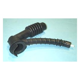 MANGUITO ARDO MERLONI, FA Foto: 58AK054