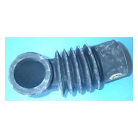 GOMA JABONERA-CUBA OTSEIN Foto: 58OT0002