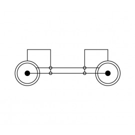 CONEXION AUDIO Foto: AV1035-2