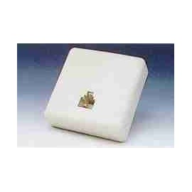 CAJA TELEFONICA AV1263 Foto: 1263