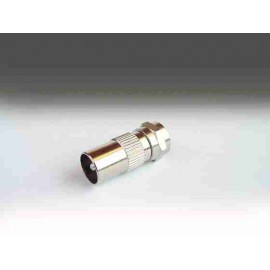 ADAPT. F M - PAL M Foto: 1493_M