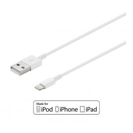 CONEXION INFORMATICA Foto: AV1996I