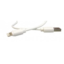 CONEXION INFORMATICA Foto: AV1996I-2