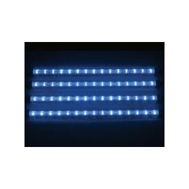 CINTAS DECORATIVAS CON LE Foto: CLLS01B