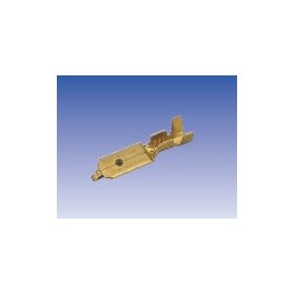 2632   TERMINAL FASTON MA Foto: TE9462