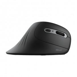 RATON ERGONOMICO Foto: MOU23507-4