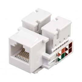 CONECTOR MODULAR RJ45 Foto: 1257