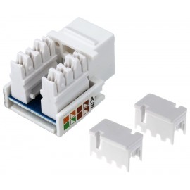 CONECTOR MODULAR RJ45 Foto: 1257-3