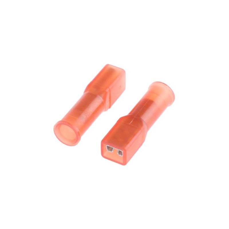 TERMINAL FASTON Foto: TE9821