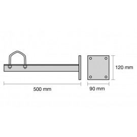 GARRA DE SUPERFICIE Foto: TP01785