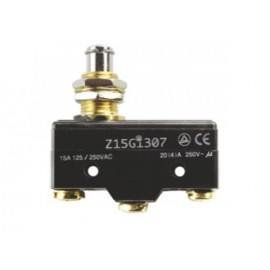 FINAL DE CARRERA Foto: Z15G1307-2