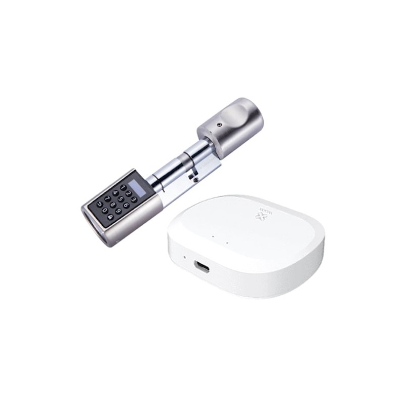 CERRADURA INTELIGENTE Foto: WX20-00022