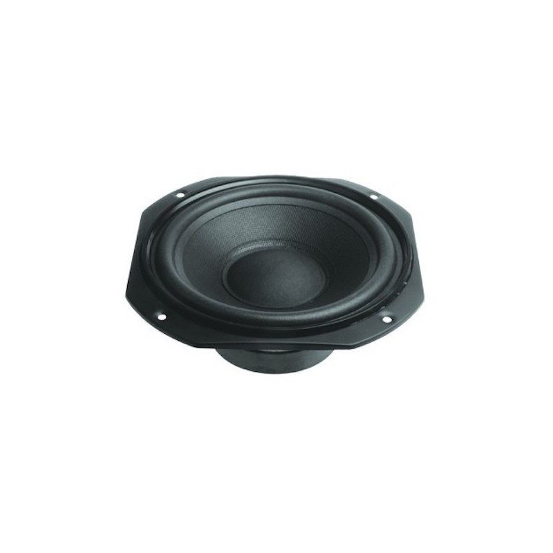 8´´ 100W WOOFER Foto: WT08