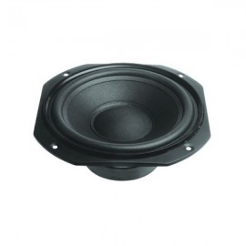 8´´ 100W WOOFER Foto: WT08