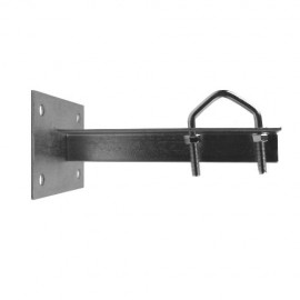 GARRA DE SUPERFICIE Foto: TP01780