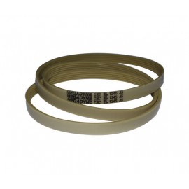 1245J5 CORREA LAVADORA Foto: 04AG369