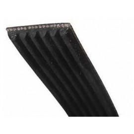 VESTEL CORREA SECADORA Foto: 04AE0006-2