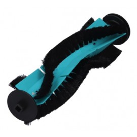 CONGA CEPILLO CENTRAL Foto: 49CE1489-2