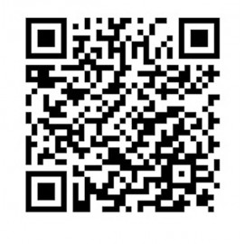 R-8 375W REGULADOR MOTOR A.C Foto: CE-R8-4