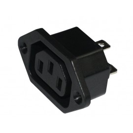 BASE RED HEMBRA Foto: 418