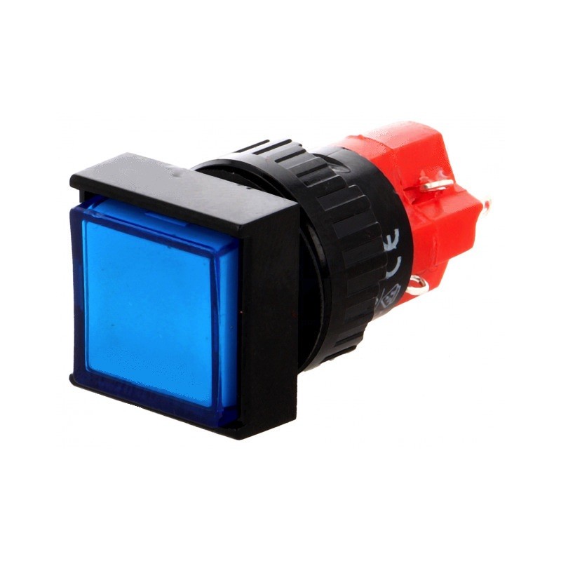 INTERRUPTOR DE PRESION Foto: LAB1F