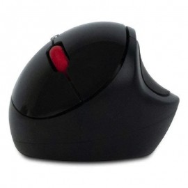 RATON ERGONOMICO Foto: EVOERGO-2