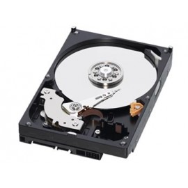 DISCO DURO 1 TB-SATA Foto: 53HD500GB