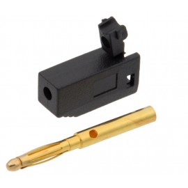 2mm BANANA MACHO Foto: BN27A-4