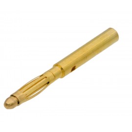 2mm BANANA MACHO Foto: BN27A-2