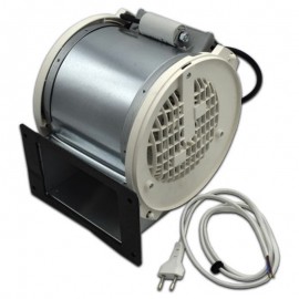 CATA MOTOR CAMPANA Foto: 41CA1030