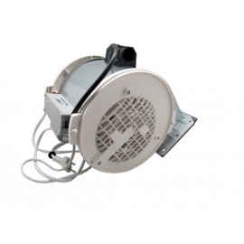 CATA MOTOR CAMPANA Foto: 41CA1030-3