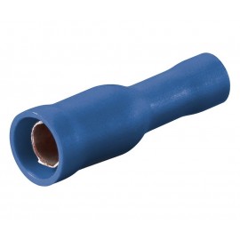 TERMINAL REDONDO AZUL Foto: CON5116