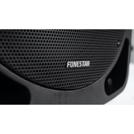 12´´ 250W ALTAVOZ ACTIVO Foto: MALIBU-315-4