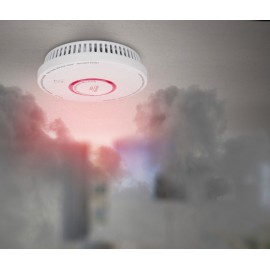 DETECTOR DE HUMOS Y MONOXIDO DE CARBONO Foto: HOG093-4